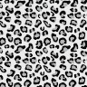 Meet your Posher, Lexi